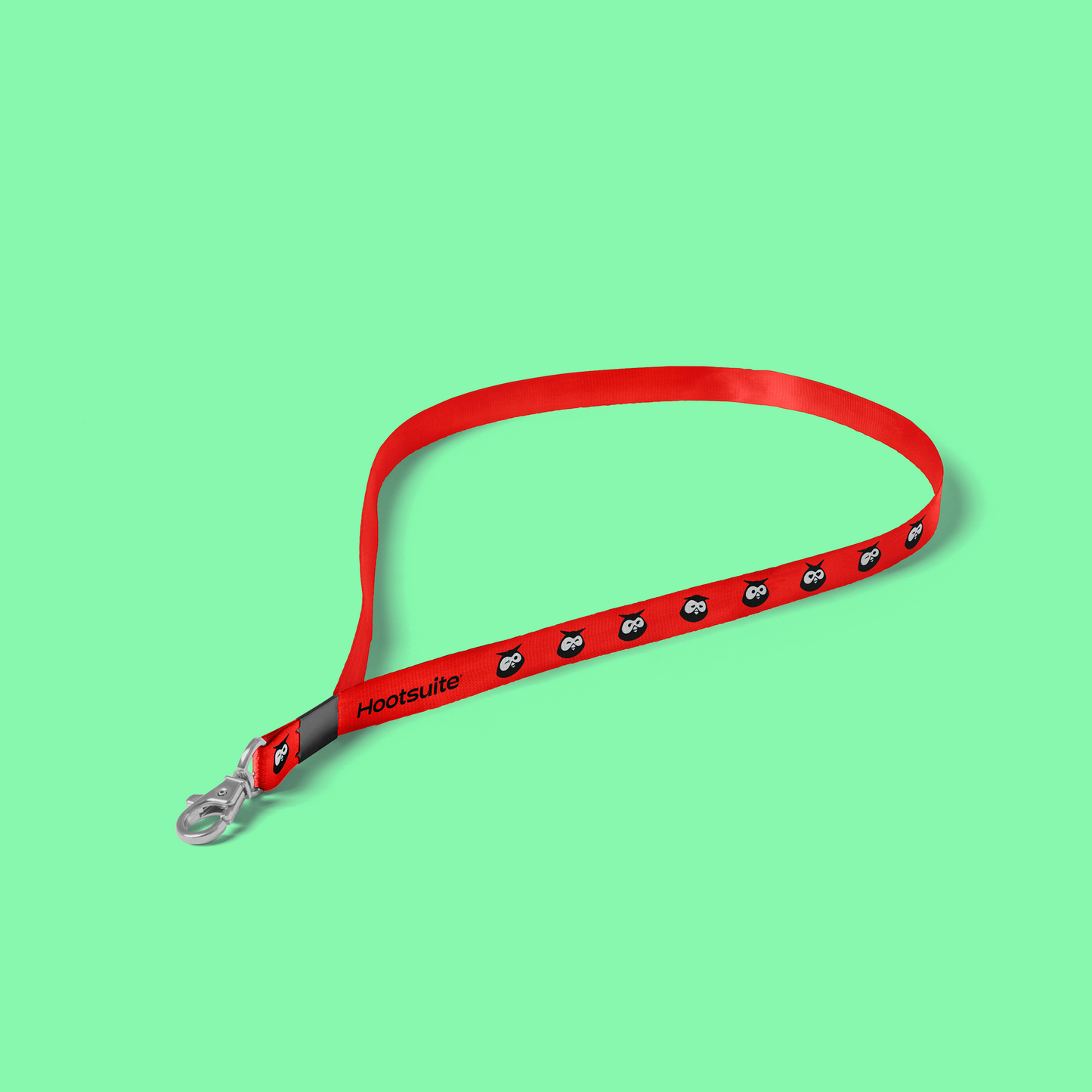 Lanyard